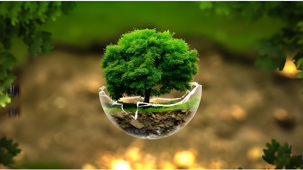 了解无机涂料与有机涂料的11大特性