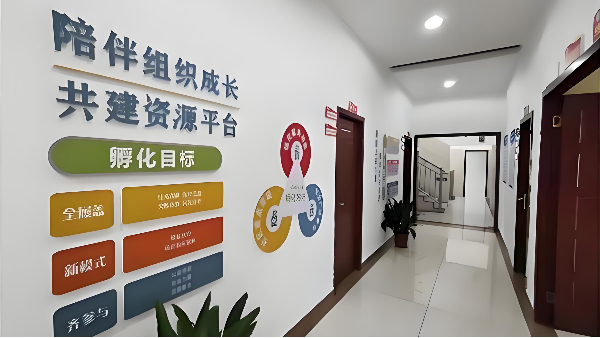湖南长沙市雨花区社会组织孵化中心墙面工程