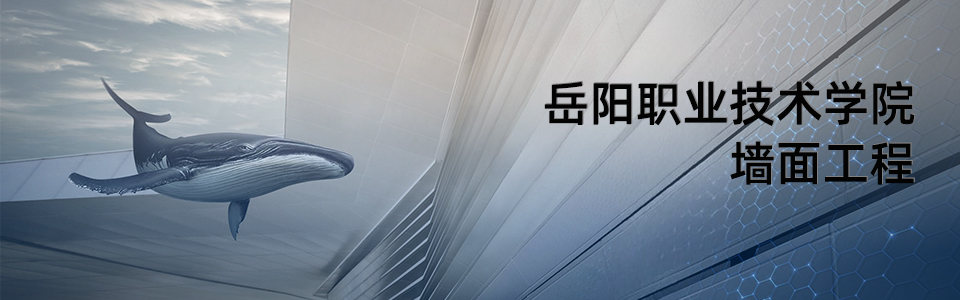 岳阳职业技术学院校园全景