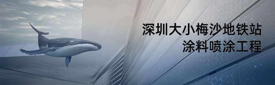 深圳地铁8号线小梅沙站外观