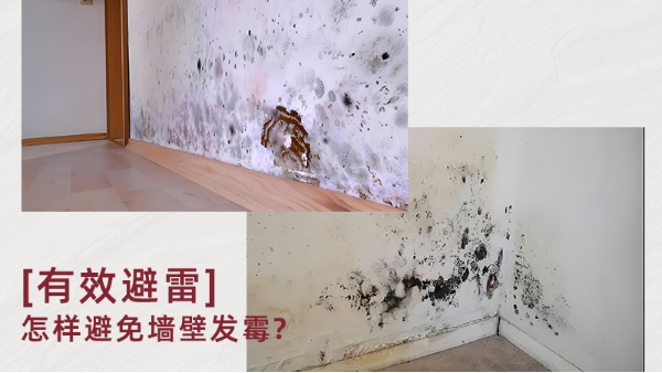 无机涂料真能防霉吗？防霉原理是什么？百适涂无机涂料为何值得推荐？