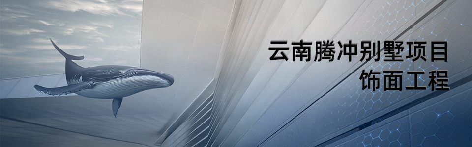 云南腾冲别墅项目外观