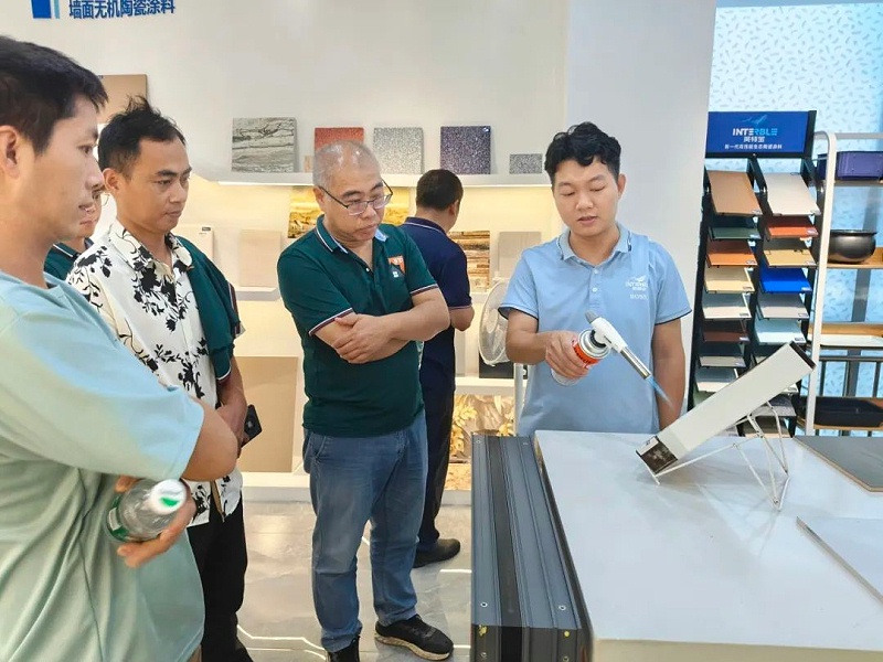 项目案例展示