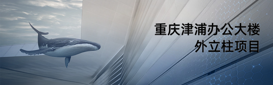 重庆津浦办公大楼外立柱项目 重庆津浦办公大楼外立柱项目
