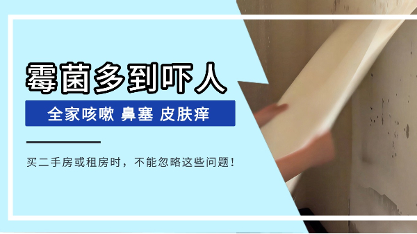 房东一句“刷层漆盖住就行了”，坑了多少买二手房的人？