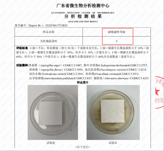涂料抗菌实验 抗菌性能测试效果