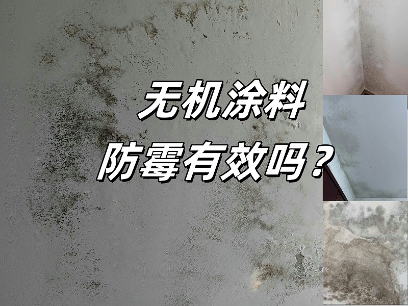 无机涂料与普通涂料防霉效果对比 墙面发霉对比图