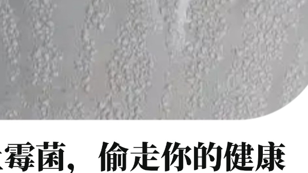 别让墙面那点“霉”偷走你的健康